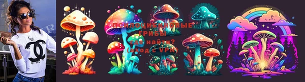 винт Беломорск