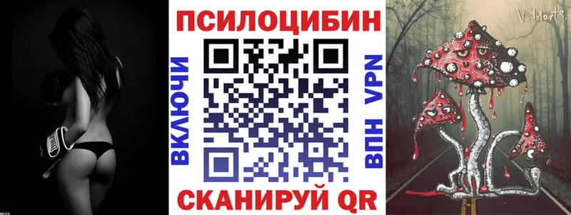 Псилоцибиновые грибы прущие грибы  Юрьев-Польский 